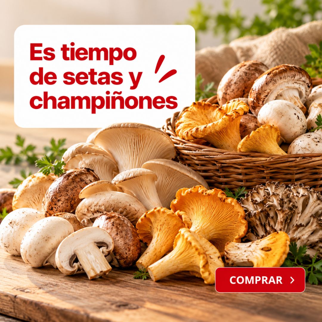 Variedad de setas y champiñones frescos de temporada, con níscalos y setas de ostra, en Mercamás Casal.